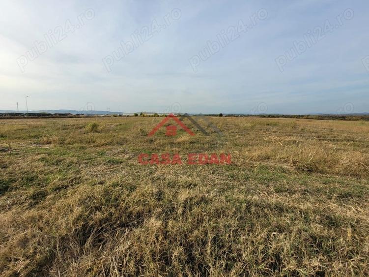Teren intravilan in Baicoi zona targului--10.000mp--5e - 10