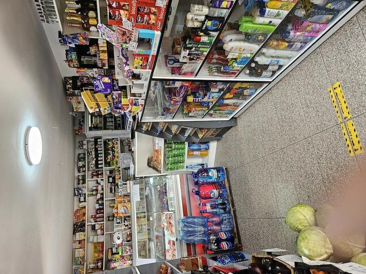 Casă cu Teren 2500 Mp în Căzănești