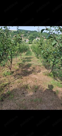 Casă cu 2 camere cu Teren 2946 Mp în Răzoare