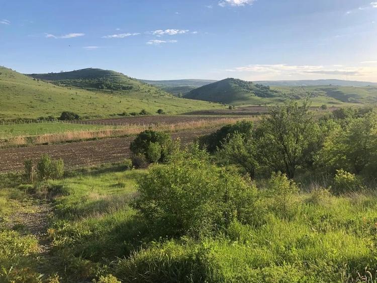 Teren Construcții intravilan de 800 mp, în Pata