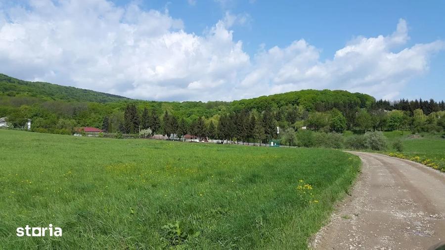 Teren de 3900 mp, în Negrești