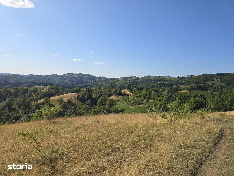 Teren de 150000 mp, în Cerbăl
