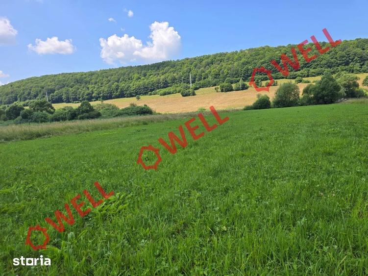 Teren de 3450 mp, în Valea Mare