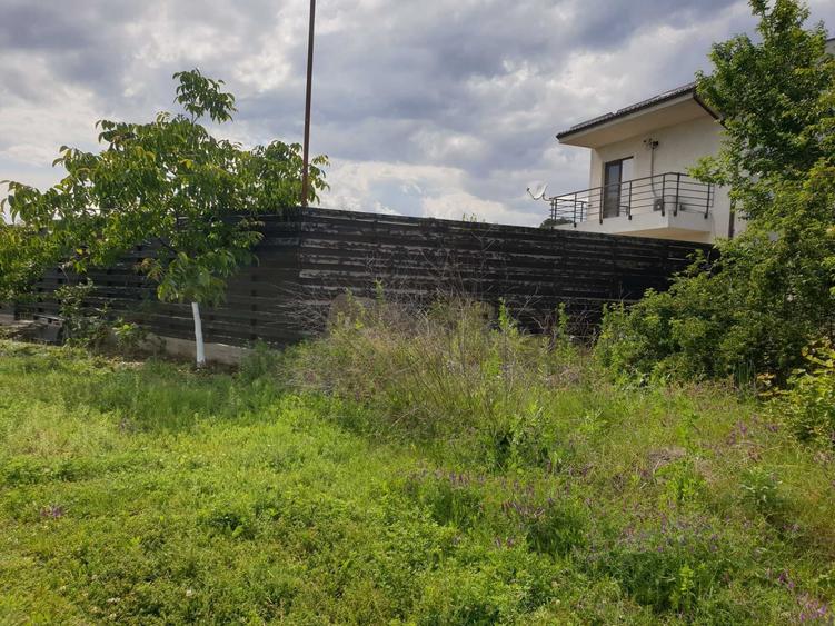 Particular, vand teren cu deschidere la lacul Cernica, langa padure - 2