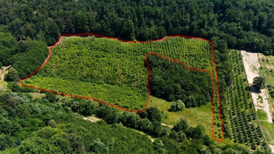 Teren de 28700 mp, în Voinești