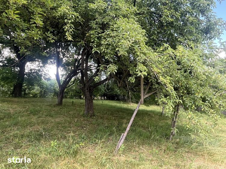 Casă cu 2 camere cu Teren 1424 Mp în Zagon