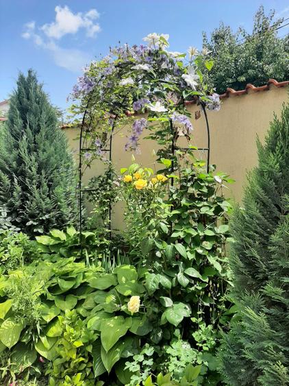 Casă cu 4 camere cu Teren 300 Mp în Chiajna