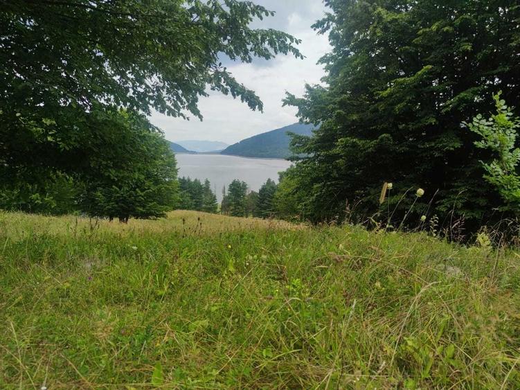 Teren de 1712 mp, în Sălătruc