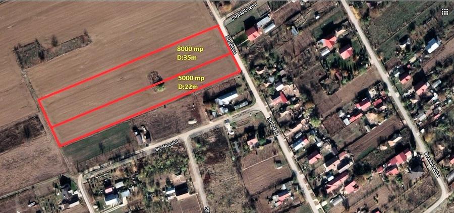 Teren agricol extravilan de 13000 mp, în Moara Vlăsiei