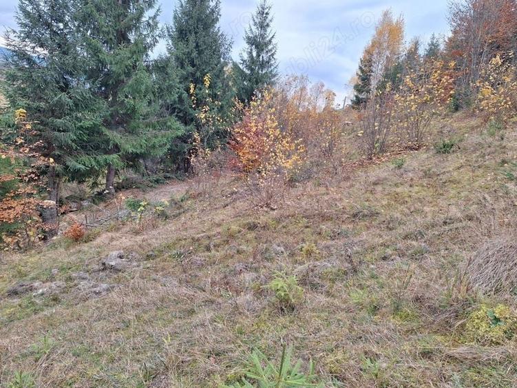 Teren de 1000 mp, în Fericet