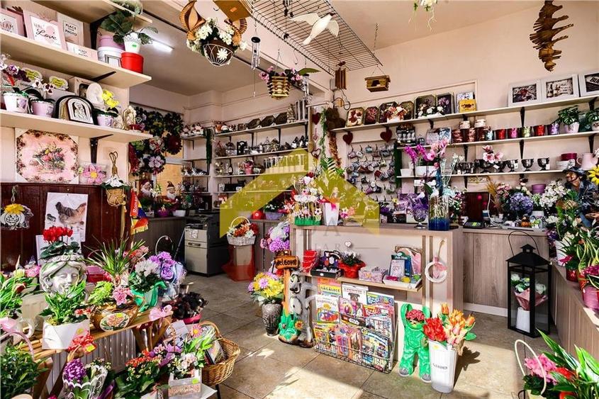 Spațiu comercial, de 128 mp, în Vladimirescu