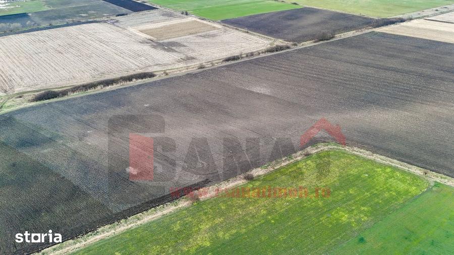 Teren de 74000 mp, în Șura Mică
