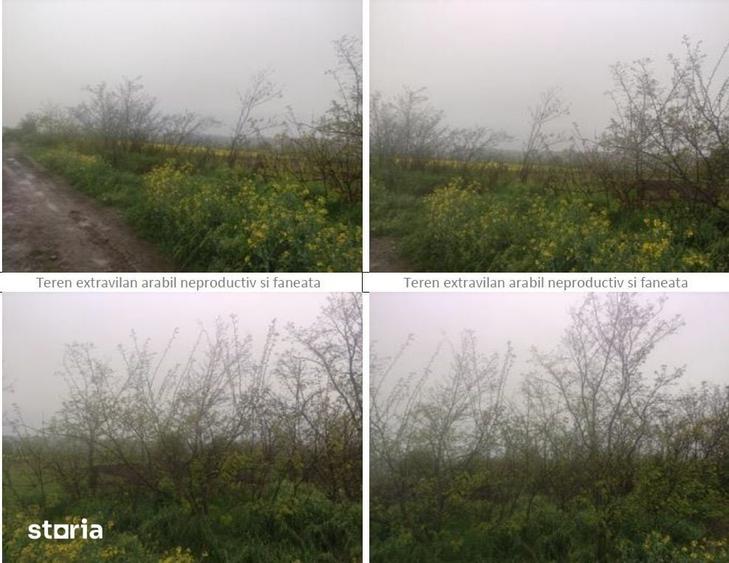Teren de 20000 mp, în Probota