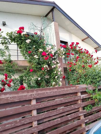 Casă cu 4 camere în Berceni