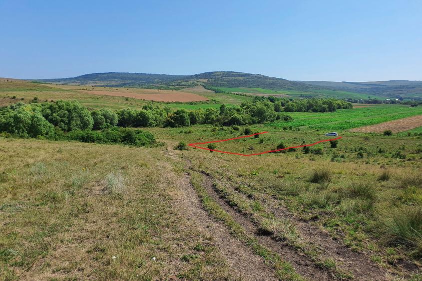Teren extravilan ideal în satul Ciumăfaia, comuna Borșa, județul Cluj. - 3