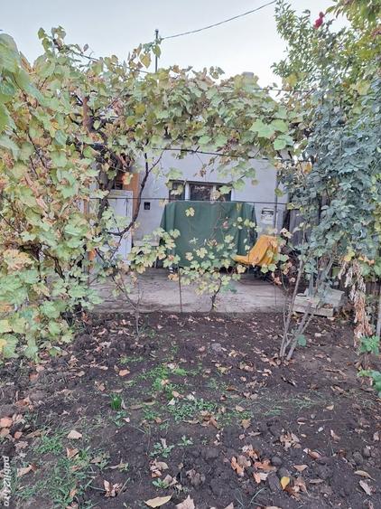Casă cu 6 camere cu Teren 280 Mp în Central