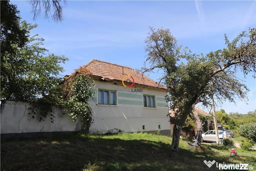 Casă cu 3 camere cu Teren 2556 Mp în Bruiu