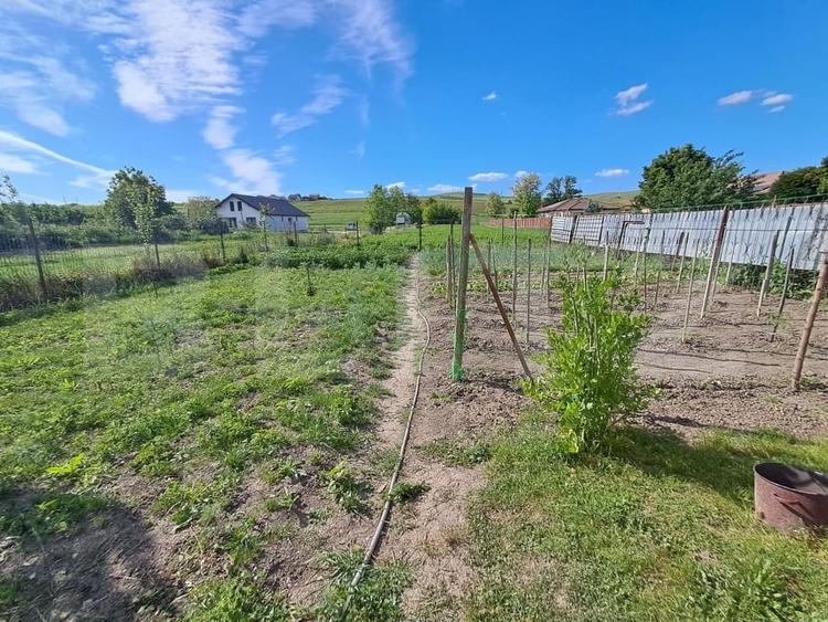 Casă individuală cu 3 camere cu Teren 2750 Mp în Nazna
