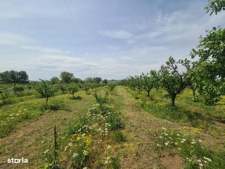 Casă cu 4 camere semidecomandat în Diocheți-Rediu
