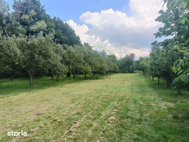 Casă cu 3 camere decomandat cu Teren 4500 Mp în Ibănești