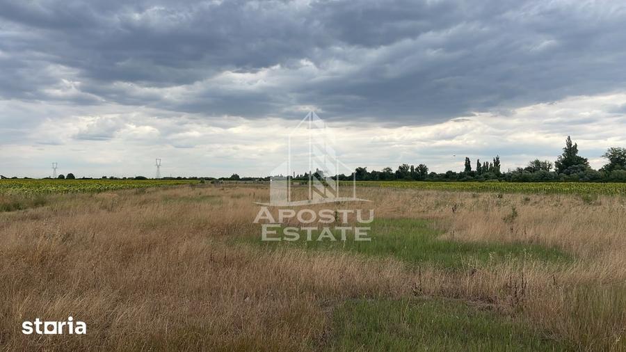 Parcela teren casa, intravilan, 1000 mp, Sanmihaiu Roman - 1