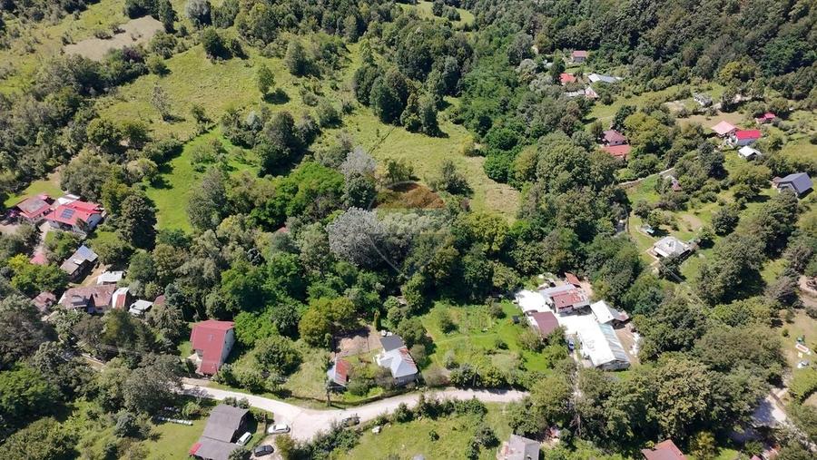 Teren Intravilan 8.277 mp Provița de Jos – Utilități, Râu & Pădure - 23