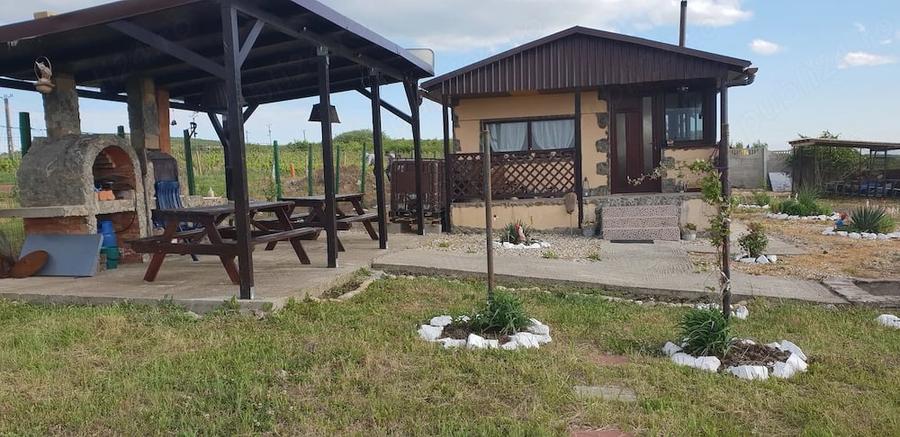 Casă cu Teren 600 Mp în Central