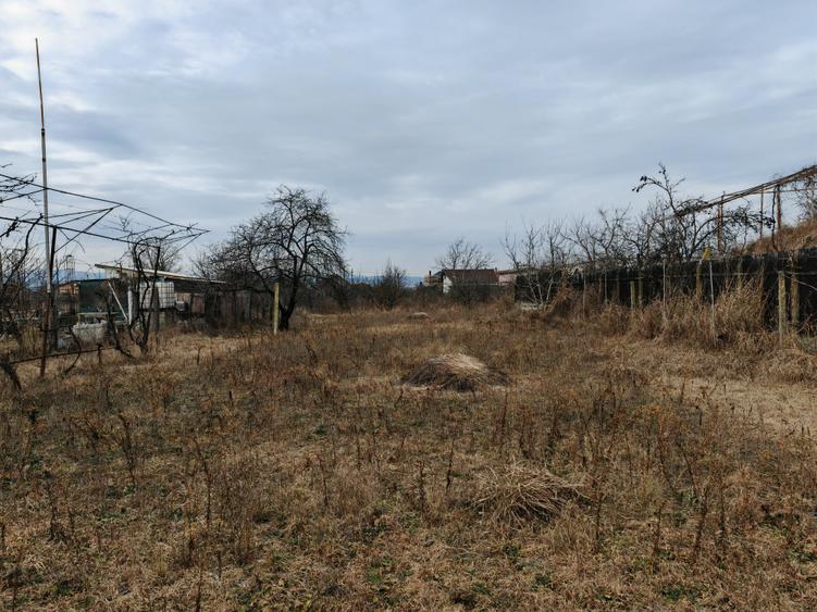 Teren Construcții intravilan de 2005 mp, în Letea
