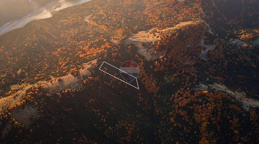 Teren agricol extravilan de 7000 mp, în Gârcini