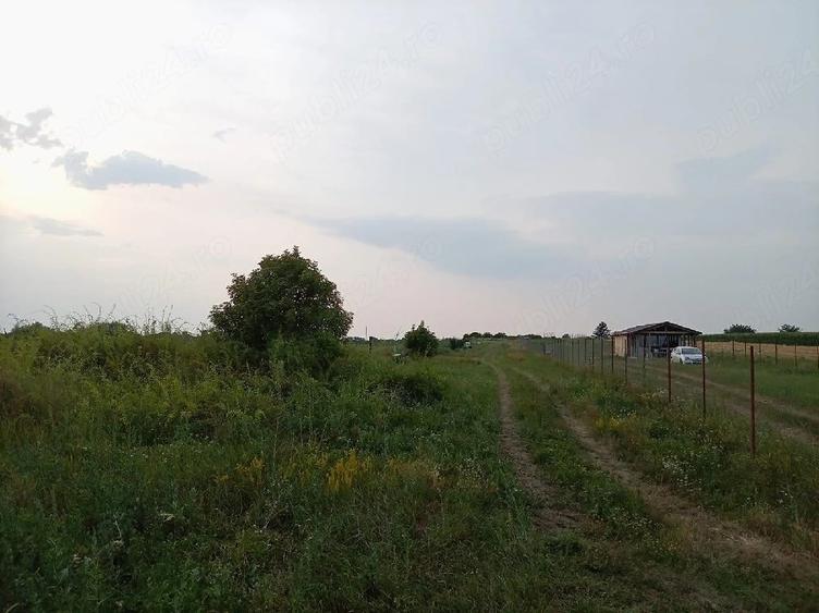 Teren Extravilan 2.900 mp in Jud. Timi? Deschidere la DRUMUL PRINCIPAL | Curent peste drum - 3