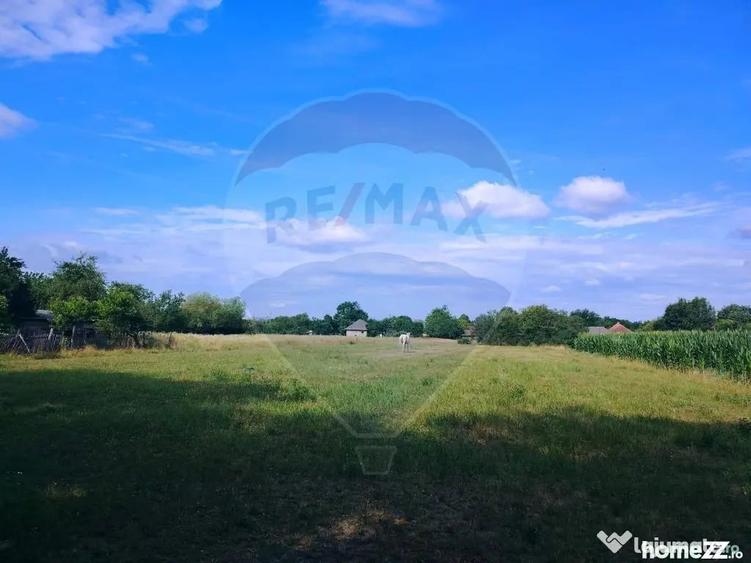 Casă cu 2 camere cu Teren 5447 Mp în Central