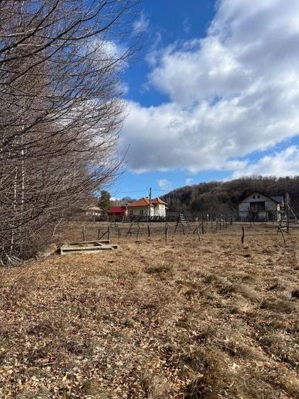 Teren agricol extravilan de 1542 mp, în Cicănești