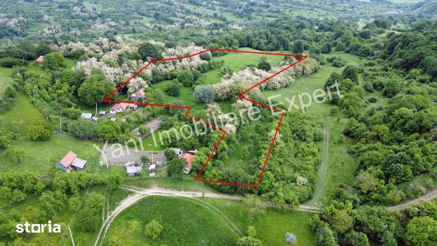Teren de 34600 mp, în Tigveni
