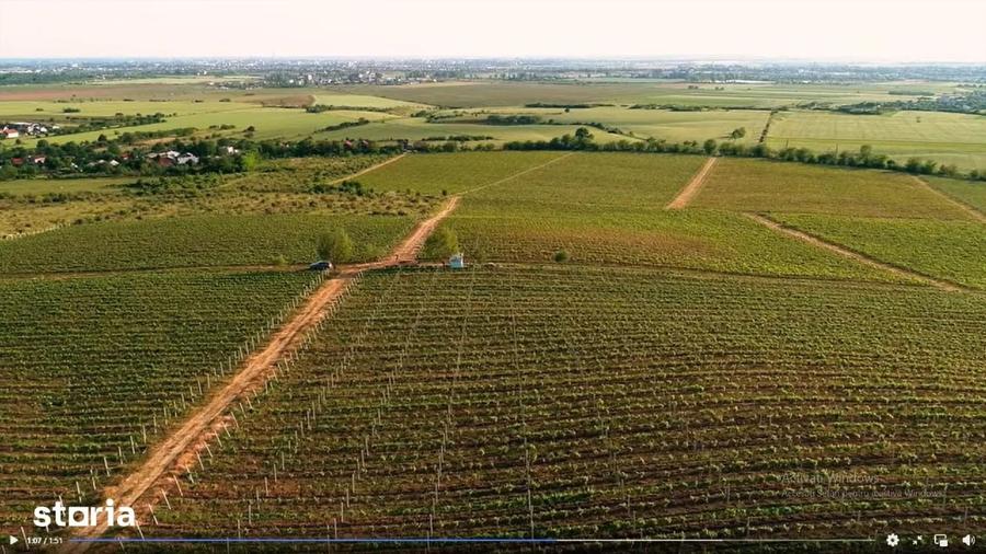 Teren agricol extravilan de 165000 mp, în Est