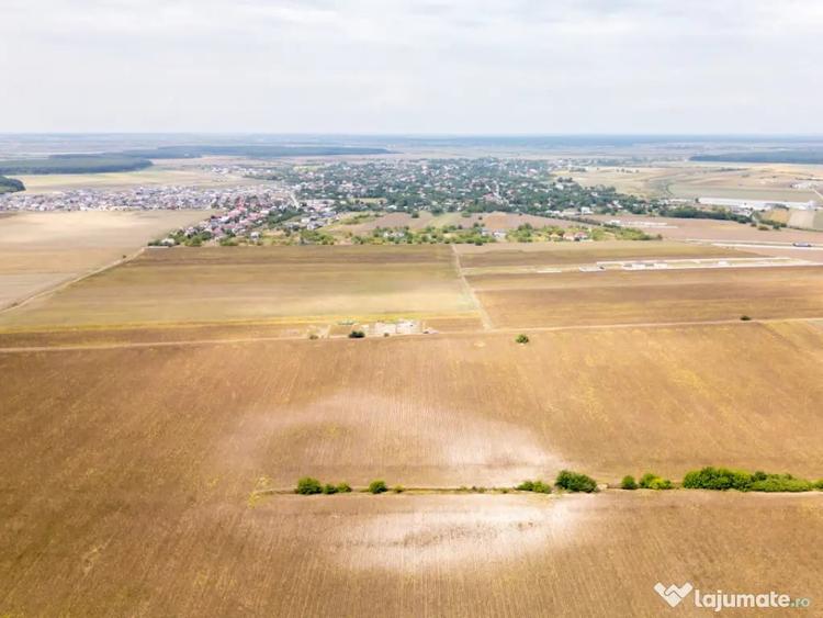 DASCALU TEREN INTRAVILAN 11300 MP, INVESTITIE! - Dascalu (Bucuresti-Ilfov) - 11