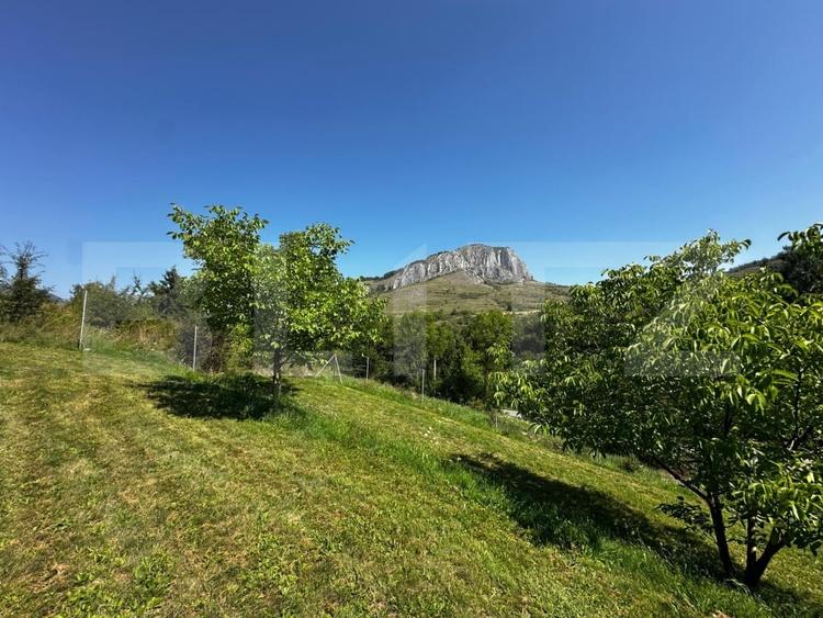 Teren Construcții extravilan de 1800 mp, în Vălișoara