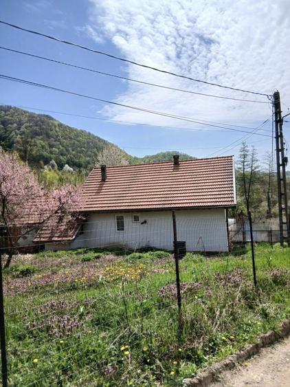 Casa la munte cu parau in curte,in localitatea Nojag.la 18 km.de DEVA - 8