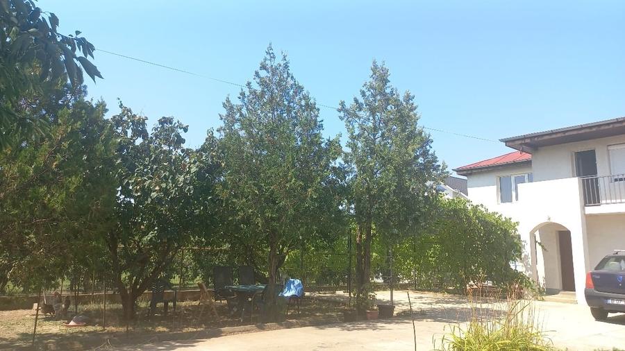 Casă individuală cu 5 camere cu Teren 4200 Mp în Adunații-Copăceni