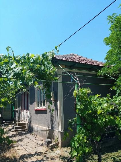Casă cu Teren 4800 Mp în Central