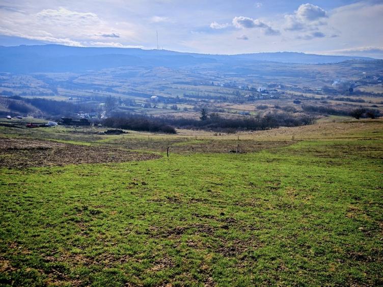 Teren Construcții intravilan de 17350 mp, în Borhanci