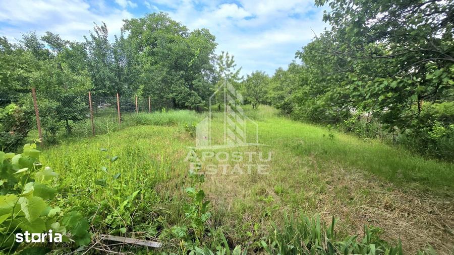Casă cu 3 camere nedecomandat cu Teren 698 Mp în Pârneava