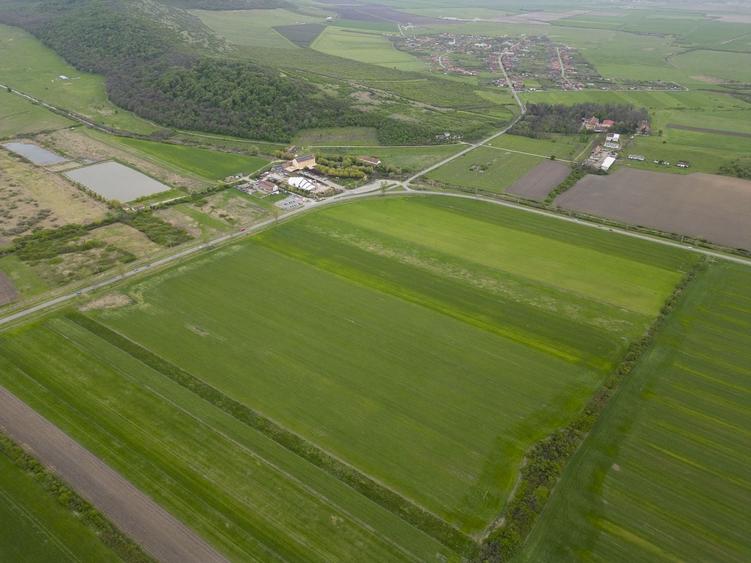 Teren agricol extravilan de 22500 mp, în Sud-Vest