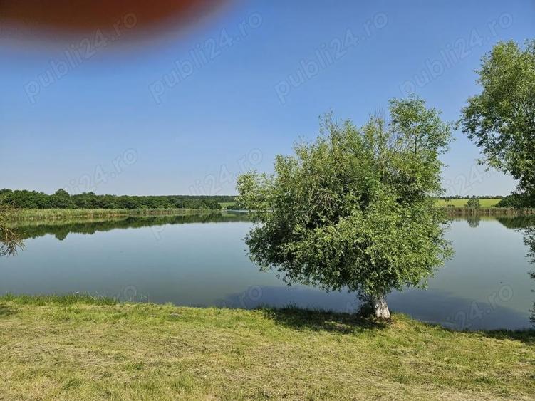 Teren de 9400 mp, în Gruiu