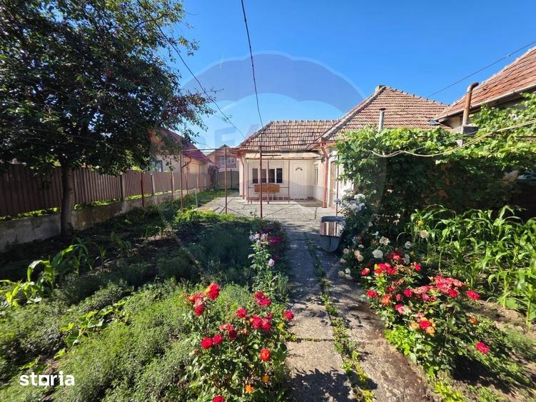 Casa ingrijita cu curte frumoasa | Tarnaveni Bozias - 1