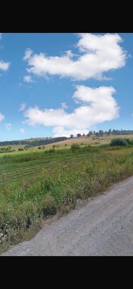 Teren agricol extravilan de 28000 mp, în Șoarș