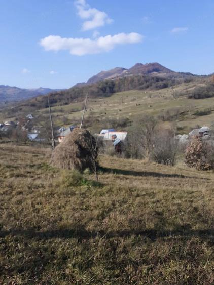 Teren de 2000 mp, în Poienile Izei
