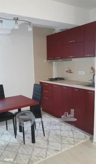 Garsoniera Cocheta, Centrala Proprie, Alexandru cel Bun Disponibila - 5