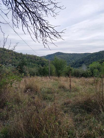 Casă cu Teren 15000 Mp în Bisoca