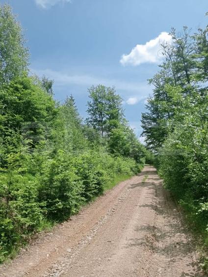 Teren Construcții intravilan de 12000 mp, în Scărișoara