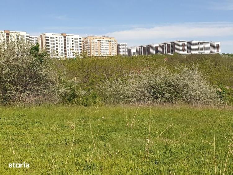 Teren intravilan IASI - COPOU - VITICULTORI - in vecinatatea padurii - 2